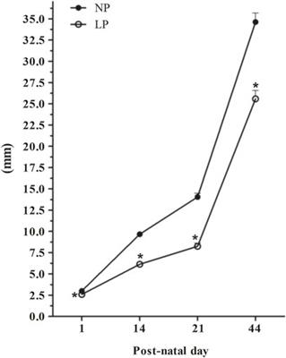 Maternal Protein Restriction Alters the Expression of Proteins Related to the Structure and Functioning of the Rat Offspring Epididymis in an Age-Dependent Manner